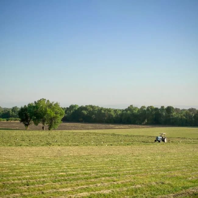 Traktör Arkası İlaçlama Makinesi 1000L